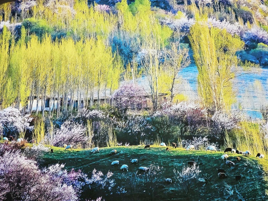 87.jpg