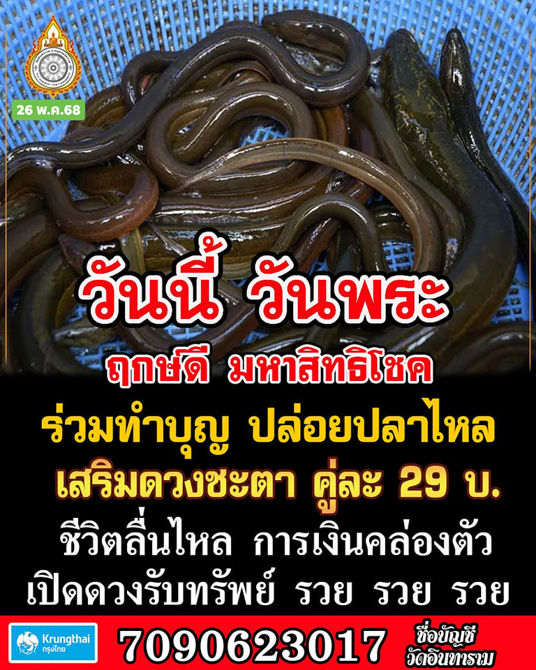 In2Nqes7uv05YN1XluDExFGxG7Z1rmarKwiIZAhk4gvihMwMPPk6O5OQfa0KMY&_nc_zt=23&_nc_ht=scontent.fbkk8-4.jpg