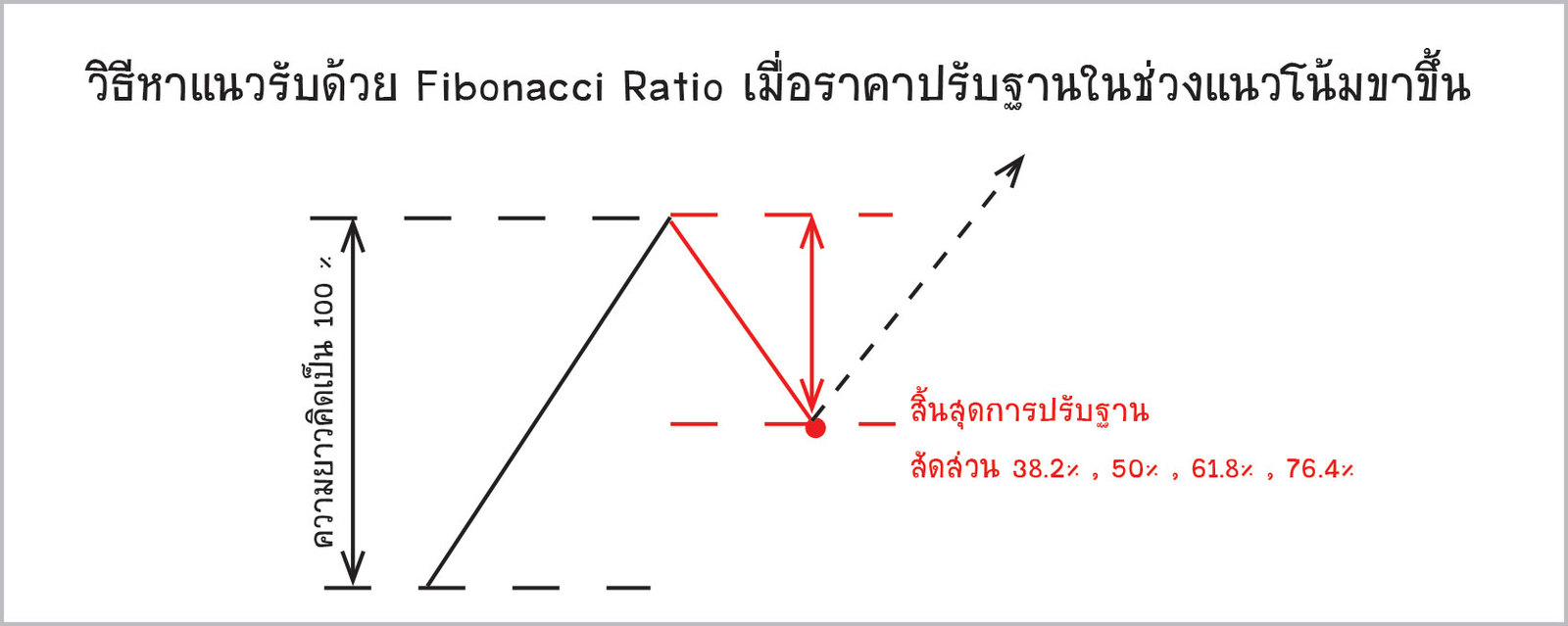 sar16.jpg